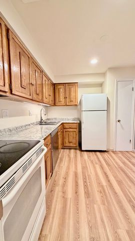 706 E Algonquin Road 204, Arlington Heights, IL 60005