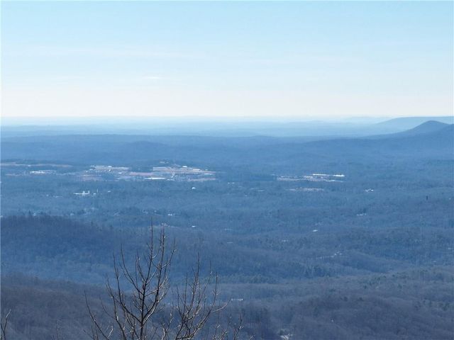256 Blood Root Trail, Ellijay, GA 30536