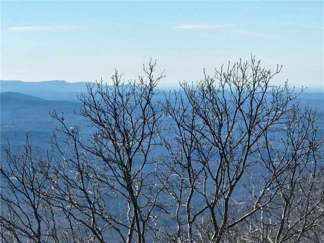 256 Blood Root Trail, Ellijay, GA 30536