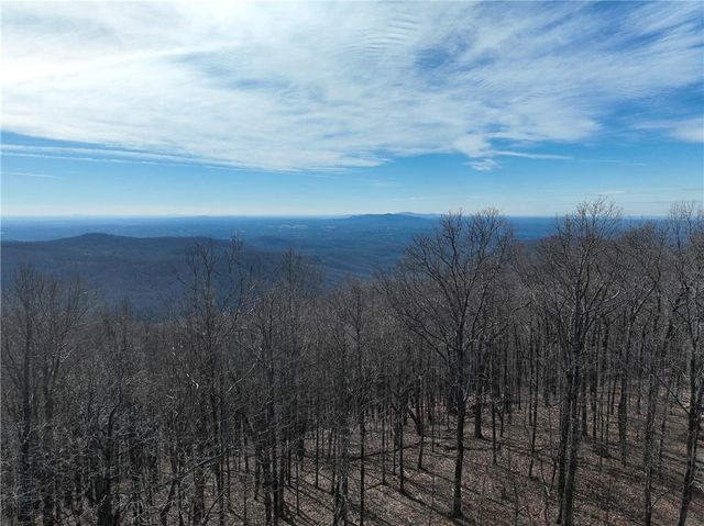 256 Blood Root Trail, Ellijay, GA 30536