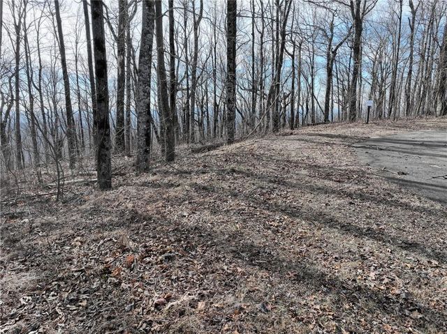 256 Blood Root Trail, Ellijay, GA 30536