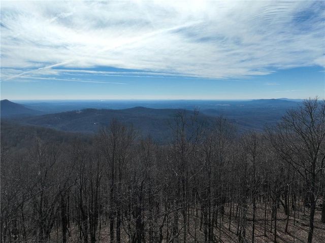 256 Blood Root Trail, Ellijay, GA 30536