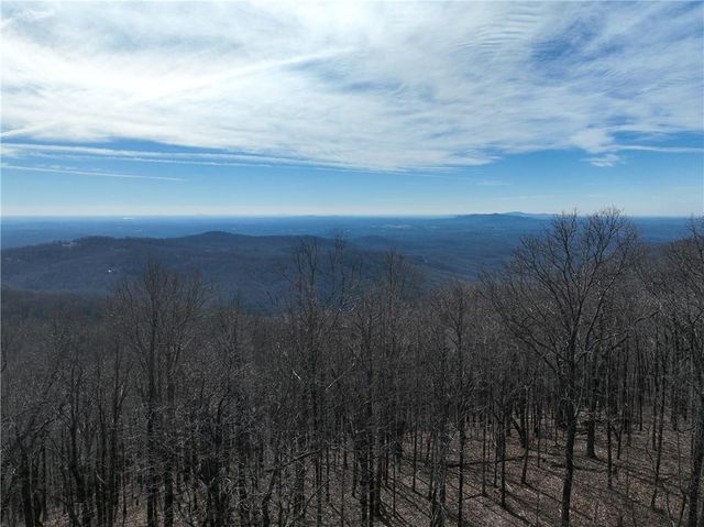 256 Blood Root Trail, Ellijay, GA 30536