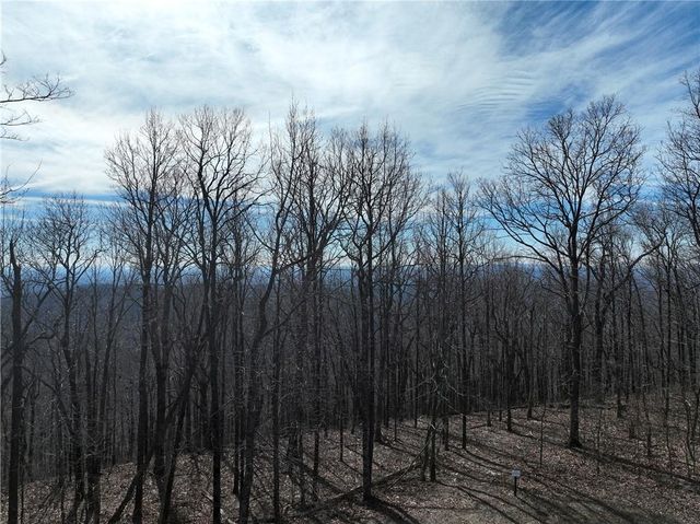 256 Blood Root Trail, Ellijay, GA 30536