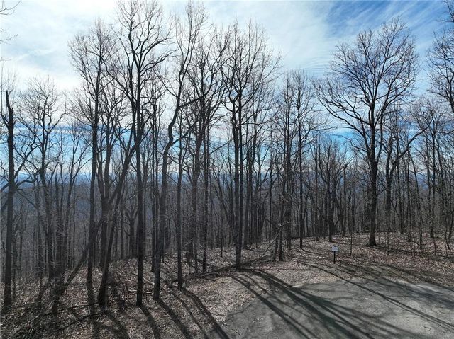 256 Blood Root Trail, Ellijay, GA 30536