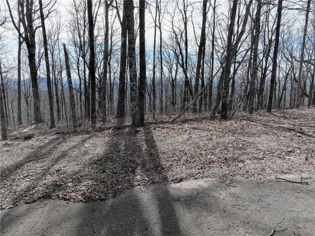 256 Blood Root Trail, Ellijay, GA 30536