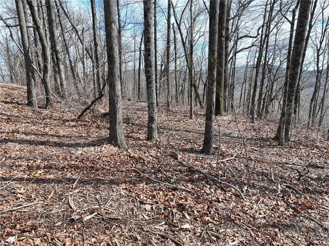 256 Blood Root Trail, Ellijay, GA 30536