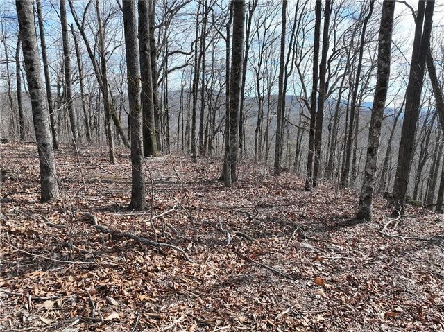 256 Blood Root Trail, Ellijay, GA 30536