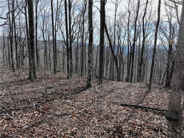 256 Blood Root Trail, Ellijay, GA 30536