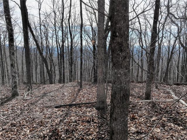256 Blood Root Trail, Ellijay, GA 30536