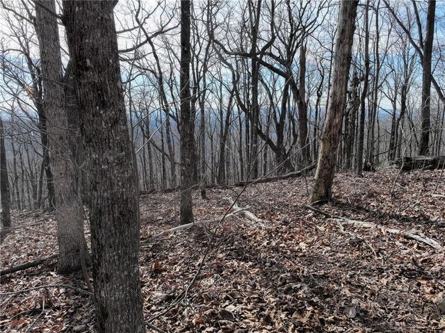 256 Blood Root Trail, Ellijay, GA 30536