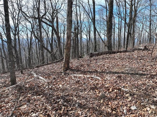 256 Blood Root Trail, Ellijay, GA 30536