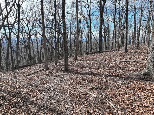 256 Blood Root Trail, Ellijay, GA 30536