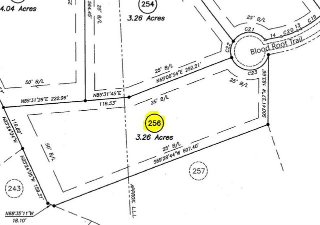 256 Blood Root Trail, Ellijay, GA 30536