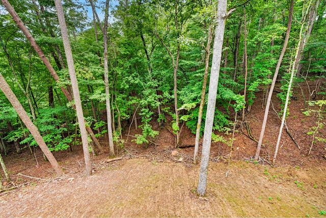 579 Julep Court, Ellijay, GA 30540