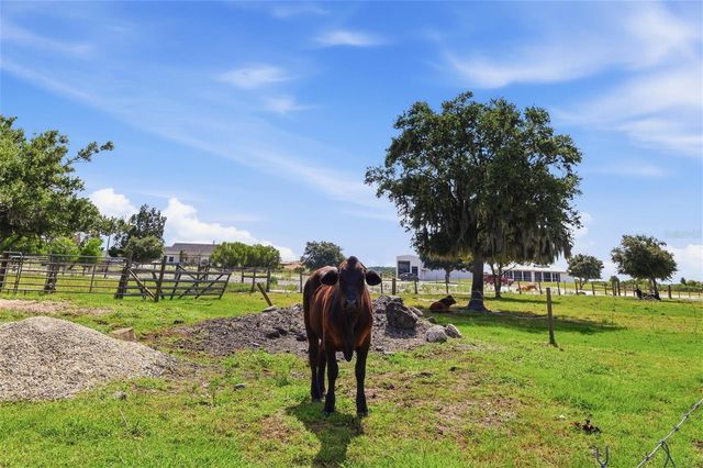 13105 MJ ROAD, Myakka City, FL 34251