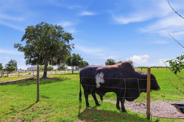 13105 MJ ROAD, Myakka City, FL 34251
