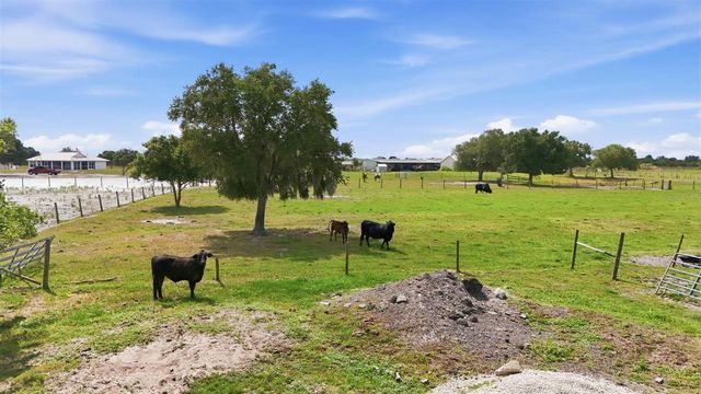 13105 MJ ROAD, Myakka City, FL 34251