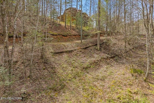 1736 Rafter Road, Tellico Plains, TN 37385