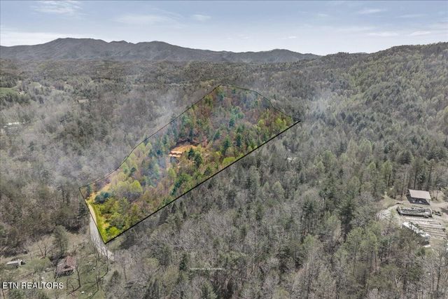 1736 Rafter Road, Tellico Plains, TN 37385