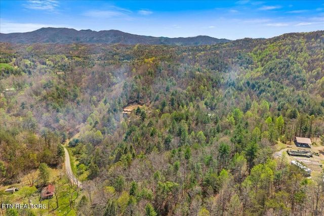 1736 Rafter Road, Tellico Plains, TN 37385