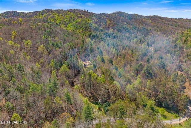 1736 Rafter Road, Tellico Plains, TN 37385