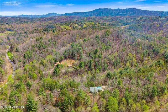 1736 Rafter Road, Tellico Plains, TN 37385