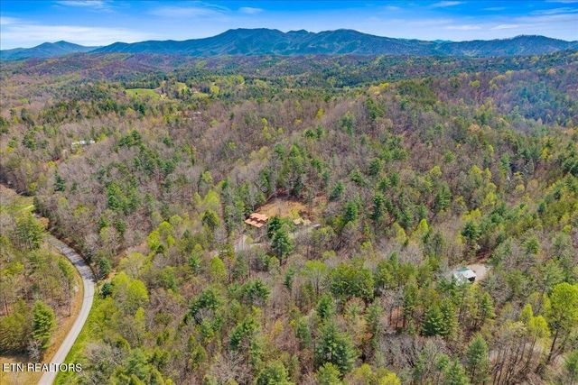 1736 Rafter Road, Tellico Plains, TN 37385