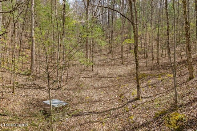 1736 Rafter Road, Tellico Plains, TN 37385