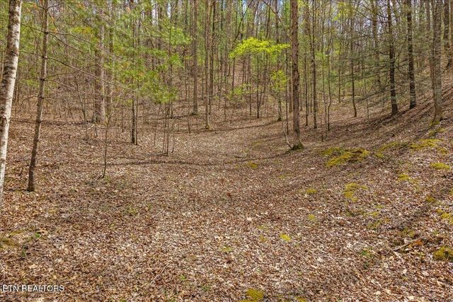 1736 Rafter Road, Tellico Plains, TN 37385