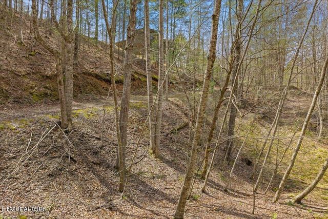 1736 Rafter Road, Tellico Plains, TN 37385