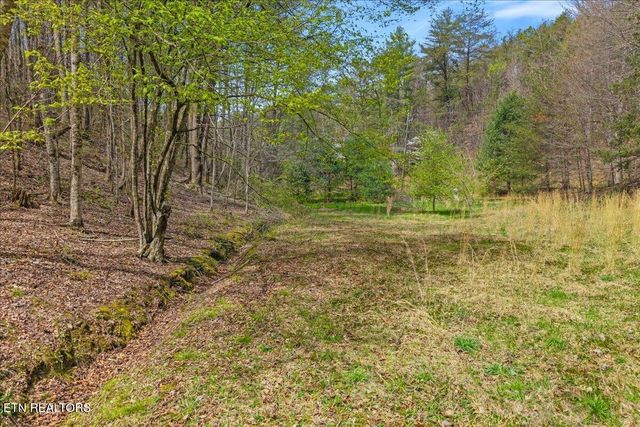 1736 Rafter Road, Tellico Plains, TN 37385