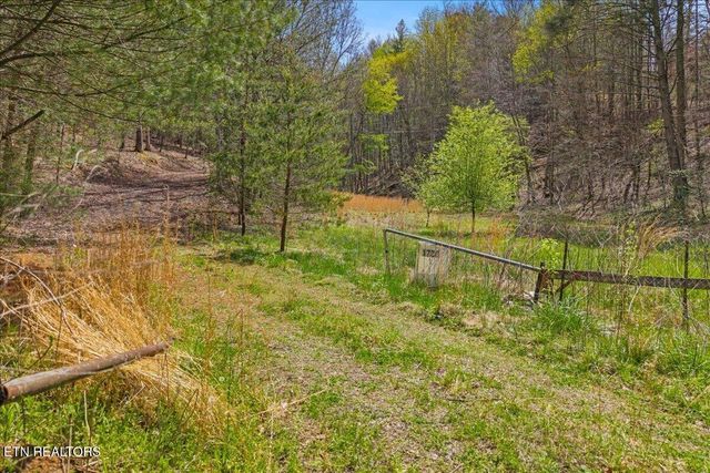 1736 Rafter Road, Tellico Plains, TN 37385