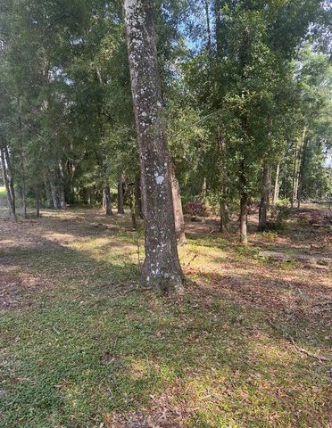 TBD SW 111TH LANE, Dunnellon, FL 34432