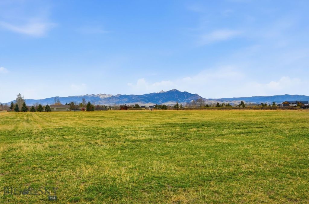 6133 Bigelow Road, Bozeman, MT 59718 photo 23