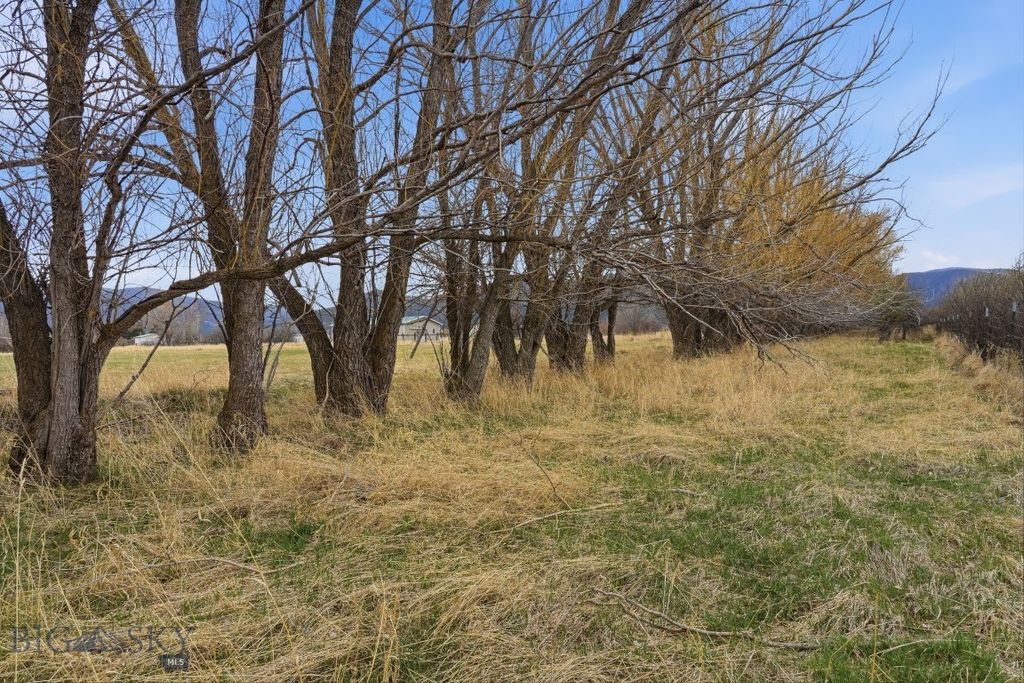 6133 Bigelow Road, Bozeman, MT 59718 photo 34