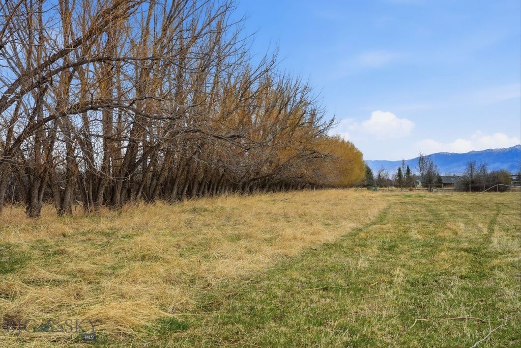6133 Bigelow Road, Bozeman, MT 59718 photo 41