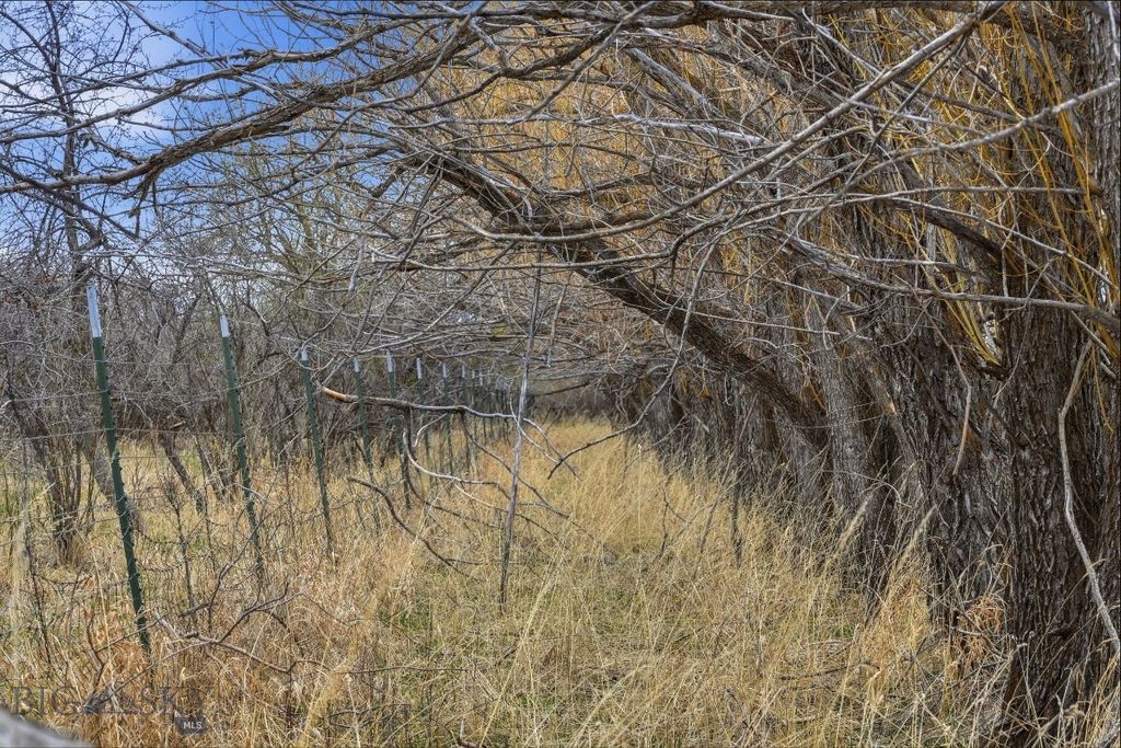 6133 Bigelow Road, Bozeman, MT 59718 photo 47