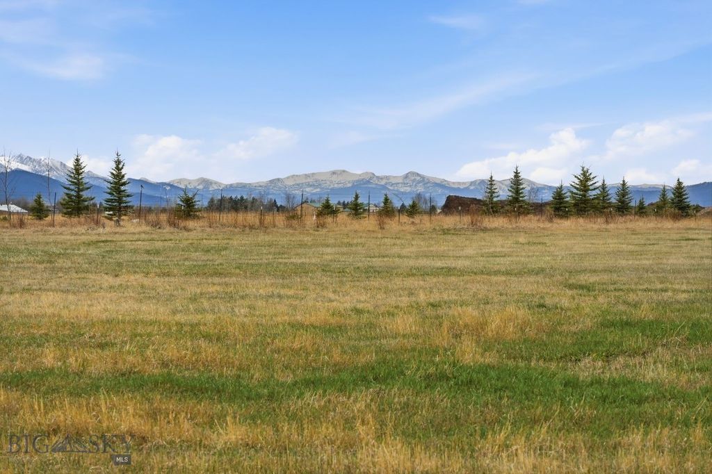 6133 Bigelow Road, Bozeman, MT 59718 photo 49