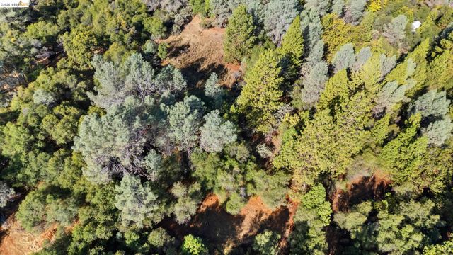 15895 Morris Rd, Sonora, CA 95370