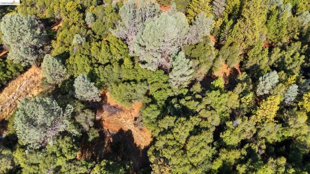 15895 Morris Rd, Sonora, CA 95370