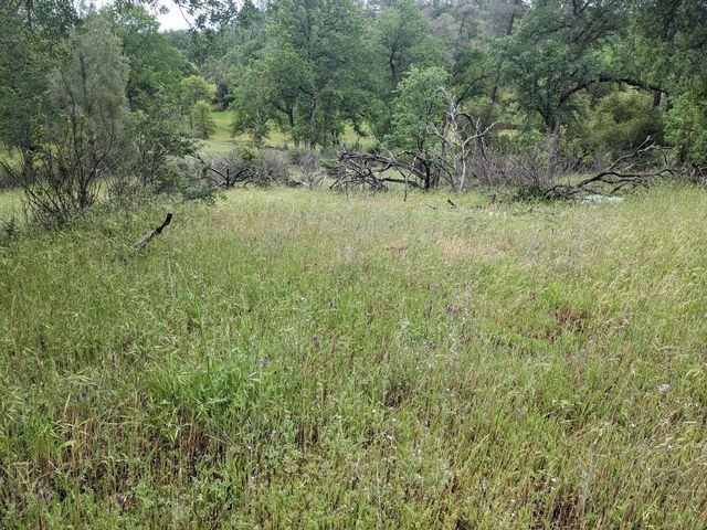 Wistful Vista Lane, Redding, CA 96003