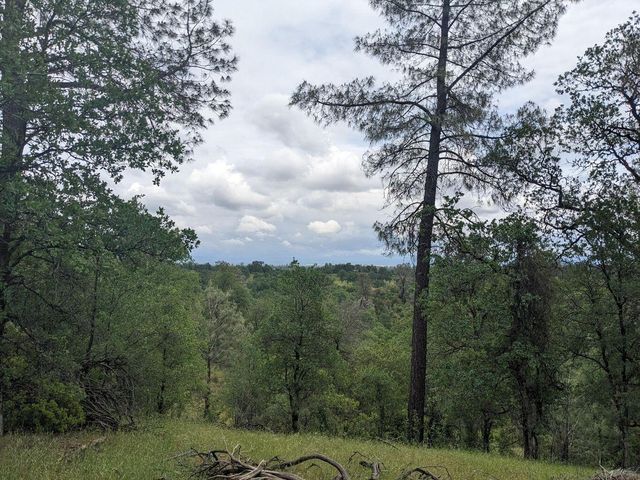 Wistful Vista Lane, Redding, CA 96003