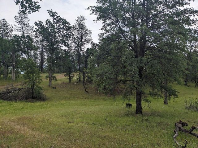 Wistful Vista Lane, Redding, CA 96003