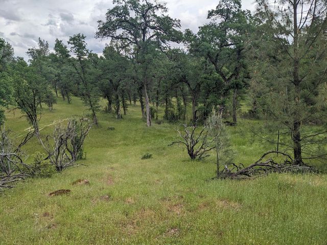 Wistful Vista Lane, Redding, CA 96003