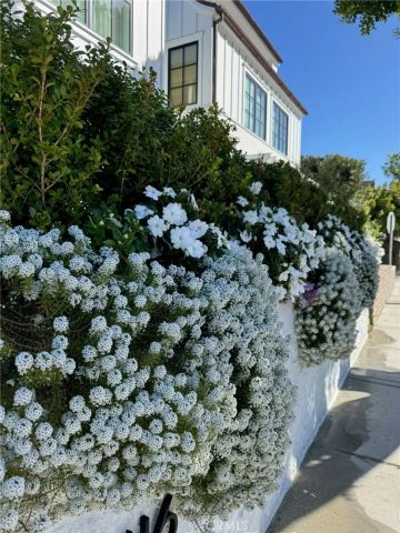 1416 E Balboa Boulevard, Newport Beach, CA 92661