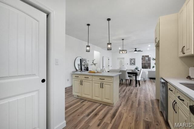 2 Lawn Place, St Louis, MO 63110