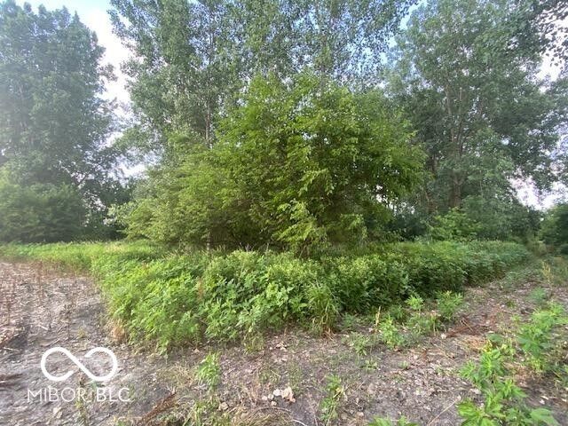 5790 Adj S Cr 600 W, Yorktown, IN 47396