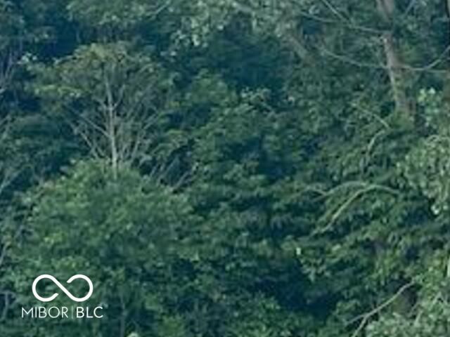 5790 Adj S Cr 600 W, Yorktown, IN 47396