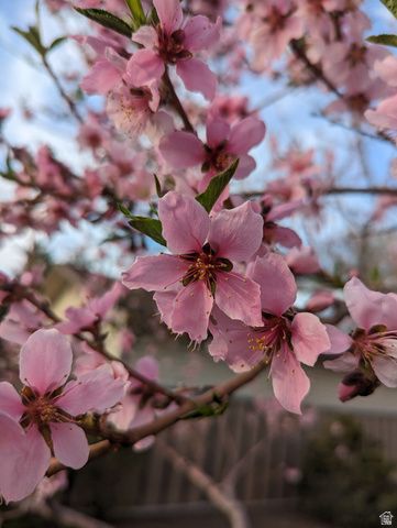 2088 N 450 W, Sunset, UT 84015